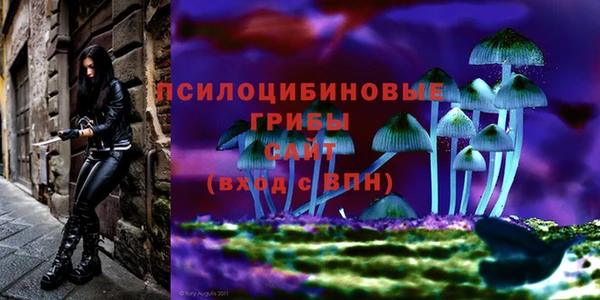 МДМА Арсеньев